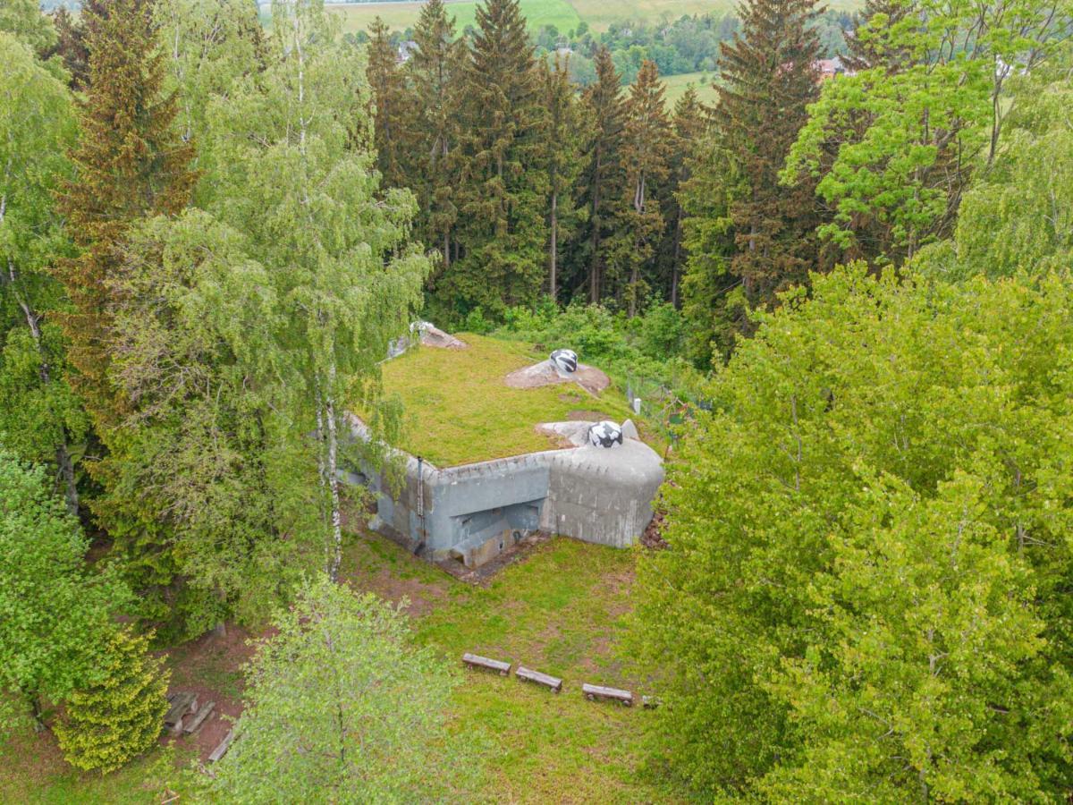 Hotel Treehous Sneznik S Wellness Dolní Morava Esterno foto