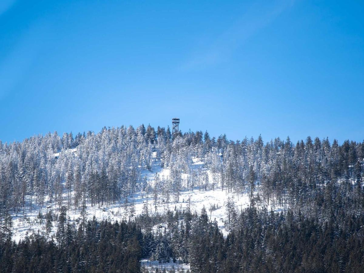 Hotel Treehous Sneznik S Wellness Dolní Morava Esterno foto