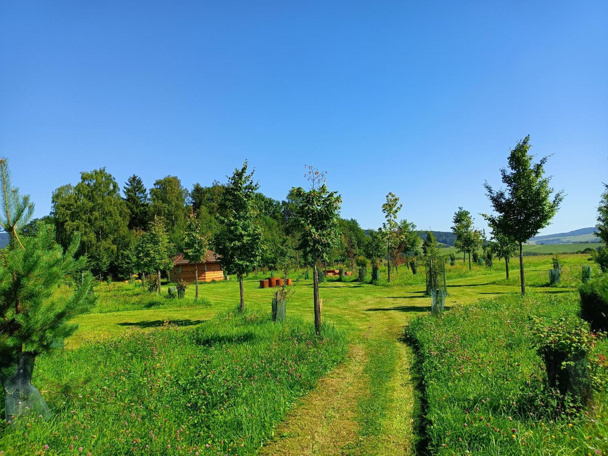 Hotel Treehous Sneznik S Wellness Dolní Morava Esterno foto